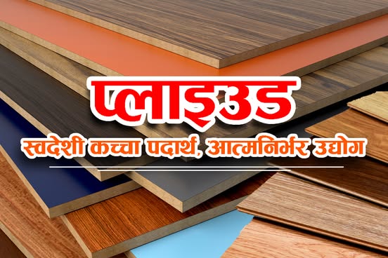 नेपालमा प्लाइउड उद्योगः ओझेलमा परेको अर्थतन्त्रको महत्त्वपूर्ण पाटो